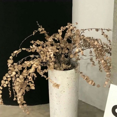 兽设晴天场景设计兽圈社群